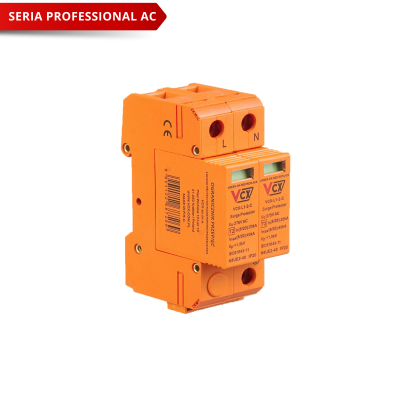 Ogranicznik przepięć C 2P (T2) Professional, AC